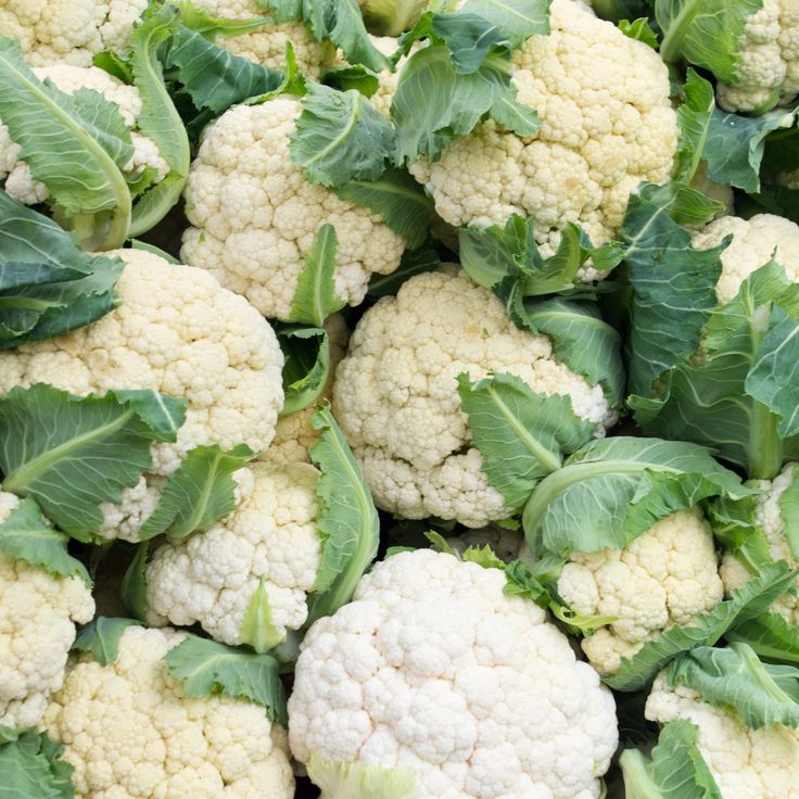 Coliflor