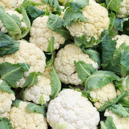 Coliflor