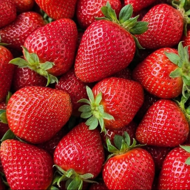 Frutillas-morcar