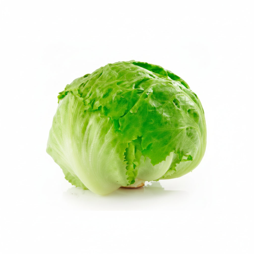 Lechuga-escarola-morcar