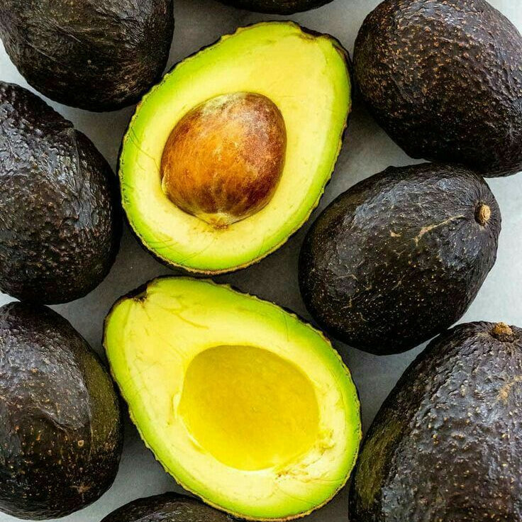 Palta-hass-a-granel-morcar