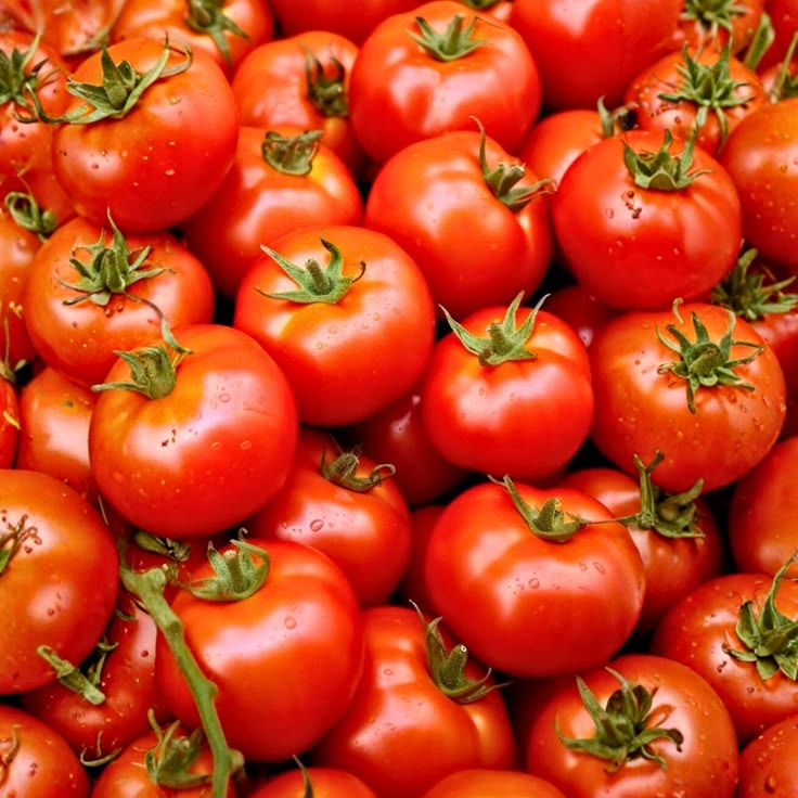Tomate Cherry