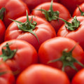 Tomate-morcar